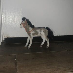 A gray paint horse with a brown bridle